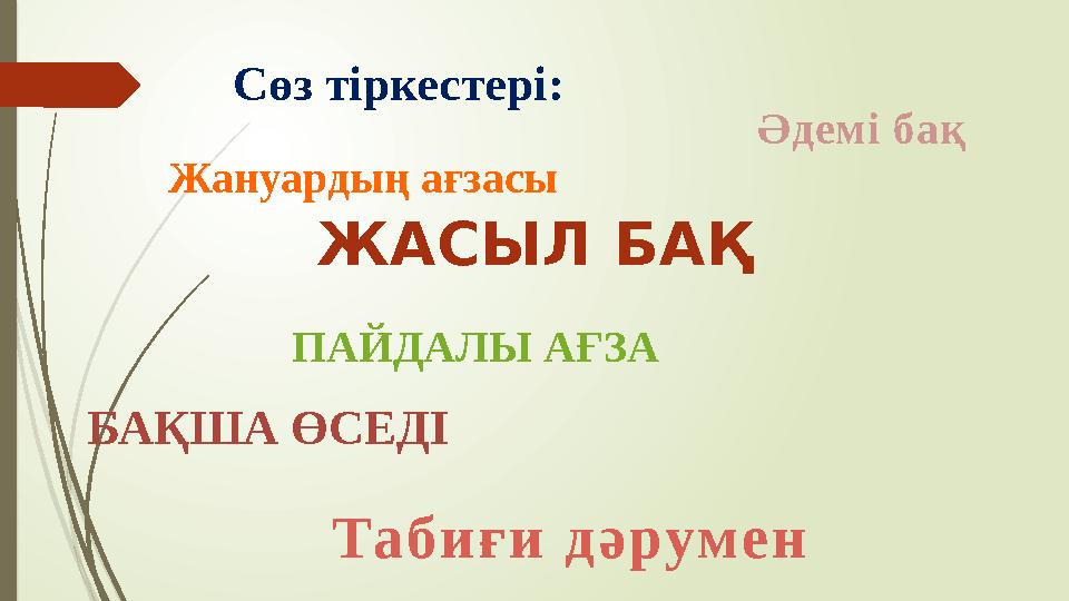 Сөз тіркестері: ПАЙДАЛЫ АҒЗА Та б и ғ и д ә рум е н Әдемі бақ БАҚША ӨСЕДІ Жануардың ағзасы ЖАСЫЛ БАҚ