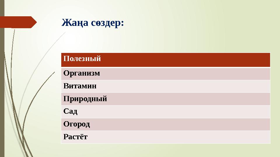 Жаңа сөздер: Полезный Организм Витамин Природный Сад Огород Раст ёт