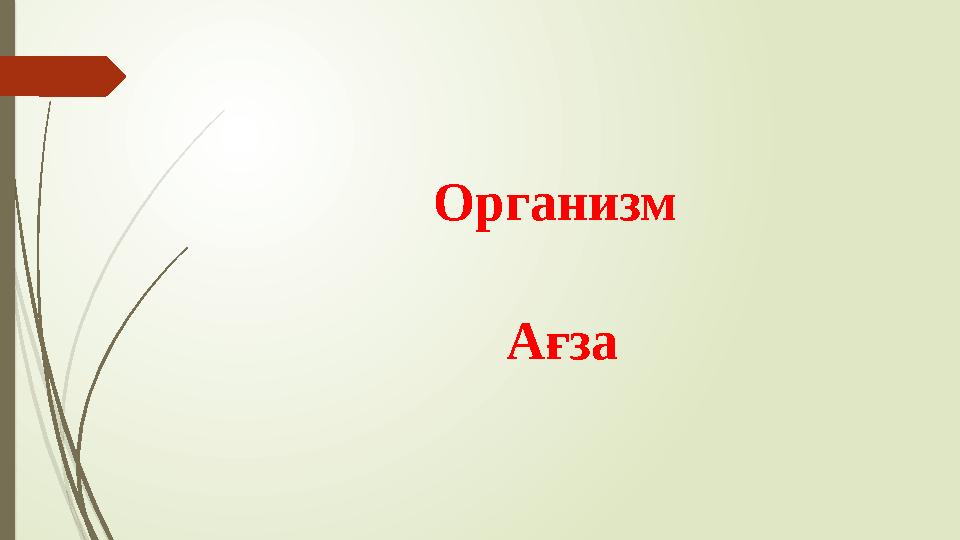 Организм Ағза