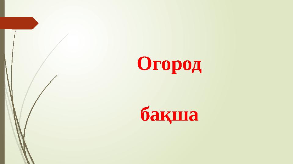 Огород бақша