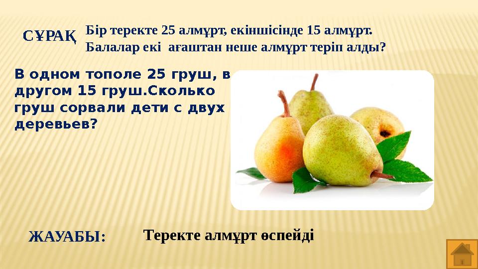 СҰРАҚ Бір теректе 25 алмұрт, екіншісінде 15 алмұрт. Балалар екі ағаштан неше алмұрт теріп алды? Теректе алмұрт өспейді ЖАУАБЫ: