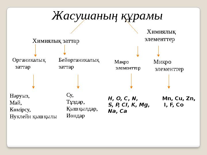 Жасушаның құрамы Химиялық элементтер Химиялық заттар Макро элементтер