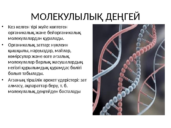 МОЛЕКУЛЫЛЫҚ ДЕҢГЕЙ • Кез келген тірі жүйе көптеген органикалық және бейорганикалық молекулалардан құралады. • Органикалық зат