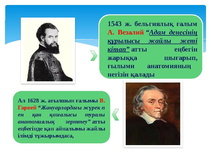 1543 ж. бельгиялық ғалым А. Везалий “ Адам денесінің құрылысы жайлы жеті кітап” атты еңбегін жарыққа шығарып, ғ