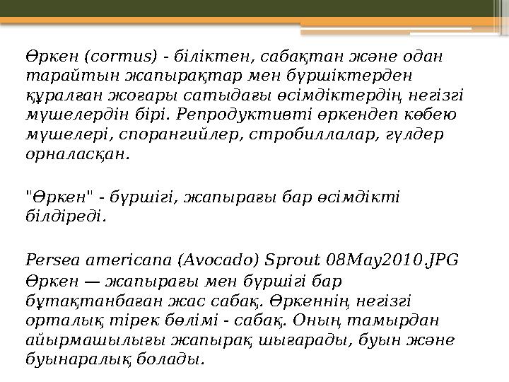 Өркен ( cormus) - біліктен, сабақтан және одан тарайтын жапырақтар мен бүршіктерден құралған жоғары сатыдағы өсімдіктердің не