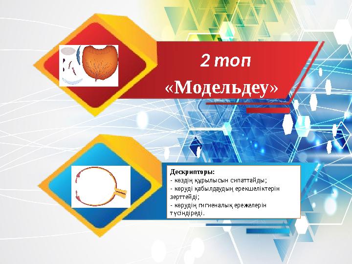 2 топ « Модельдеу » Дескрипторы: - көздің құрылысын сипаттайды ; - көруді қабылдаудың ерекшеліктерін зерттейді ; - көрудің