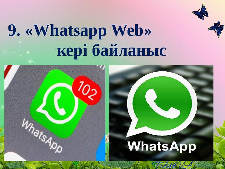 9. « Whatsapp Web » кері байланыс