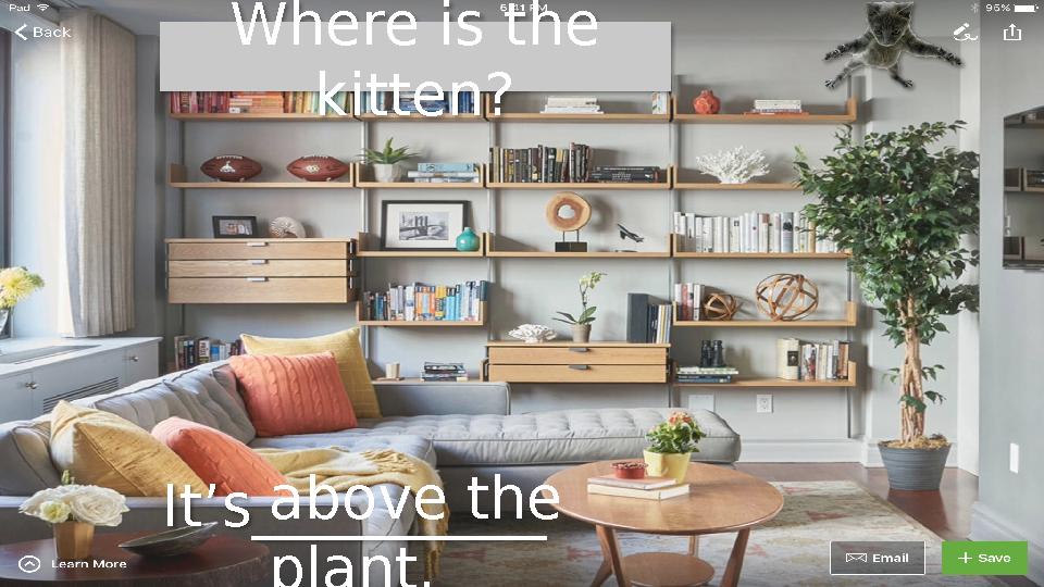 Where is the kitten? It’s__________ above the plant.