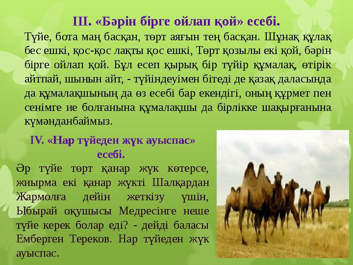 ІІІ. «Бәрін бірге ойлап қой» есебі. Түйе, бота маң басқан, төрт аяғын тең басқан. Шұнақ құлақ бес ешкі, қос-қос лақты