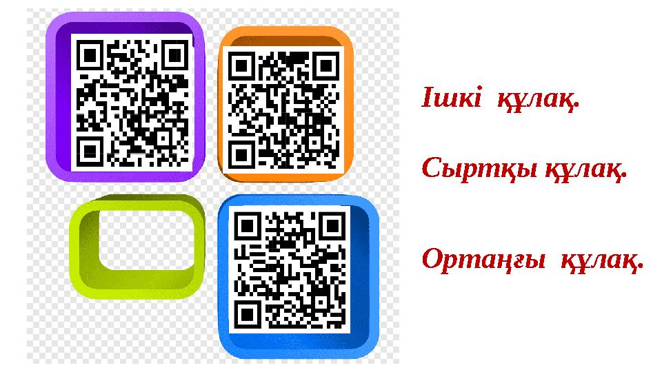 Сыртқы құлақ. Ішкі құлақ. Ортаңғы құлақ.