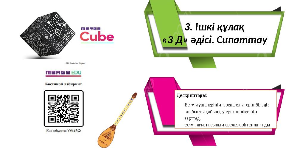 3. Ішкі құлақ «3 Д» әдісі. Сипаттау Дескрипторы: - Есту мүшелерінің ерекшеліктерін біледі; - дыбысты қабылдау ерекшеліктері