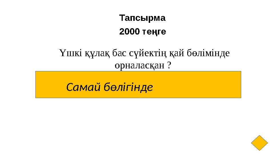 Тапсырма 2000 теңге Үшкі құлақ бас сүйектің қай бөлімінде орналасқан ? Самай бөлігінде