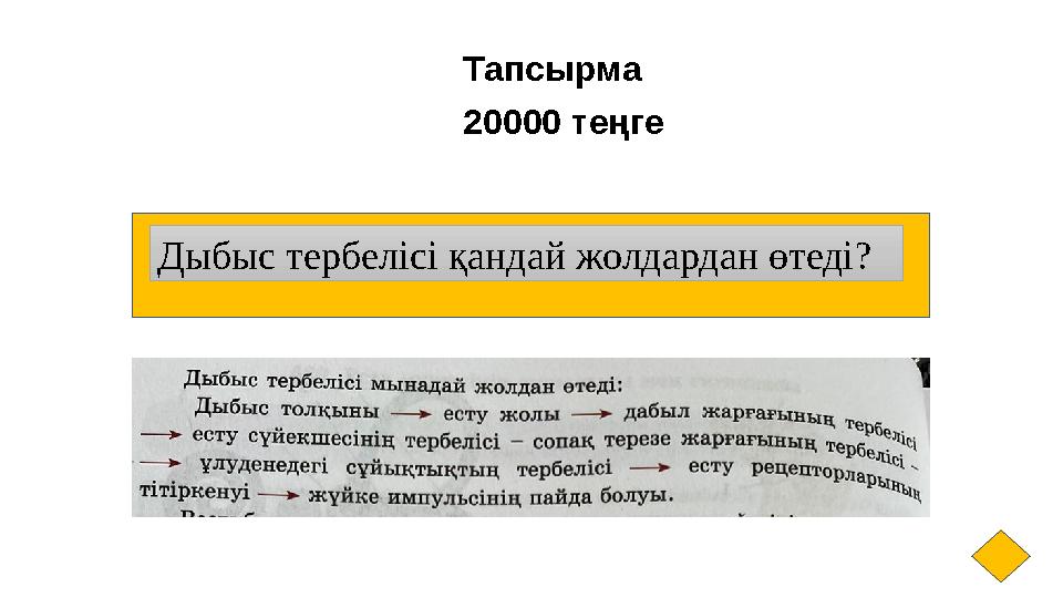 Тапсырма 20000 теңге Дыбыс тербелісі қандай жолдардан өтеді ?