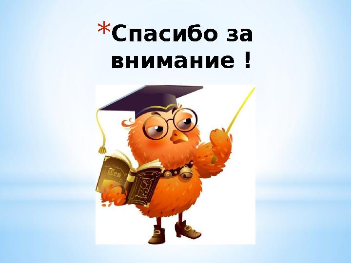* Спасибо за внимание !