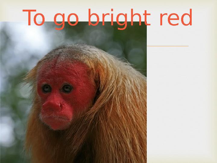 To go bright red