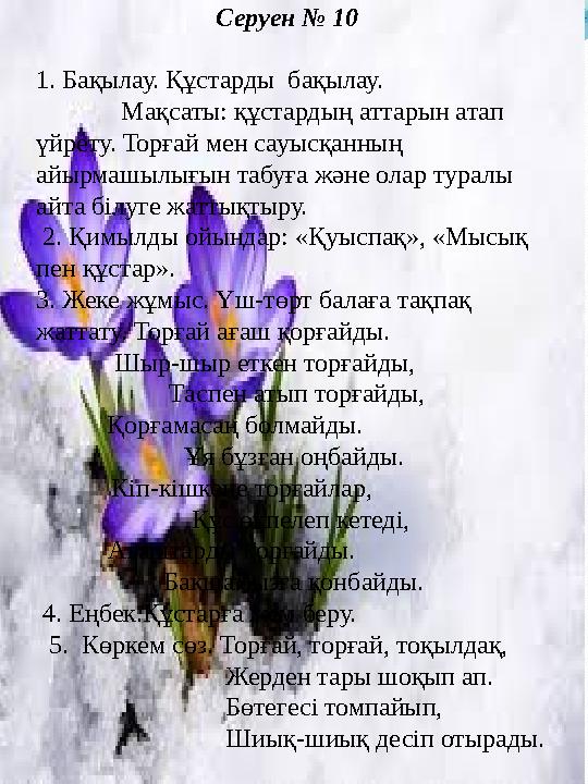 Серуен № 10 1. Бақылау. Құстарды бақылау. Мақсаты: құстардың аттарын атап үйрету. Торғай мен сауысқ