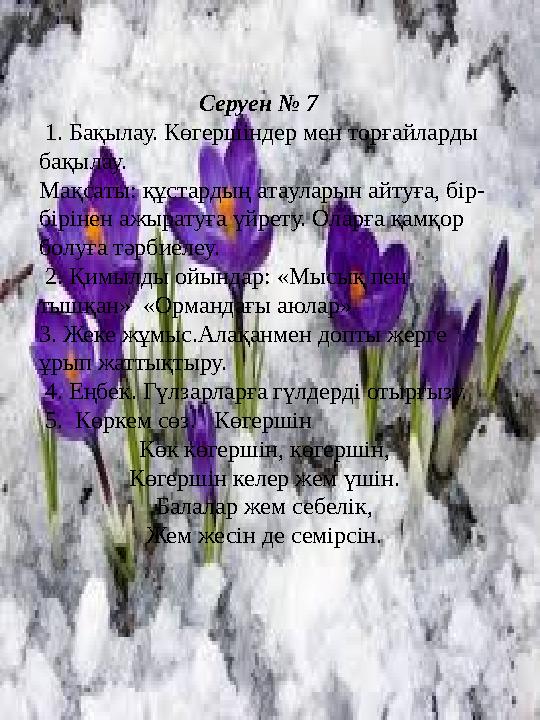 Серуен № 7 1. Бақылау. Көгершіндер мен торғайларды бақылау. Мақсаты: құстардың атауларын айтуға, бір- бірінен ажыратуға үйр