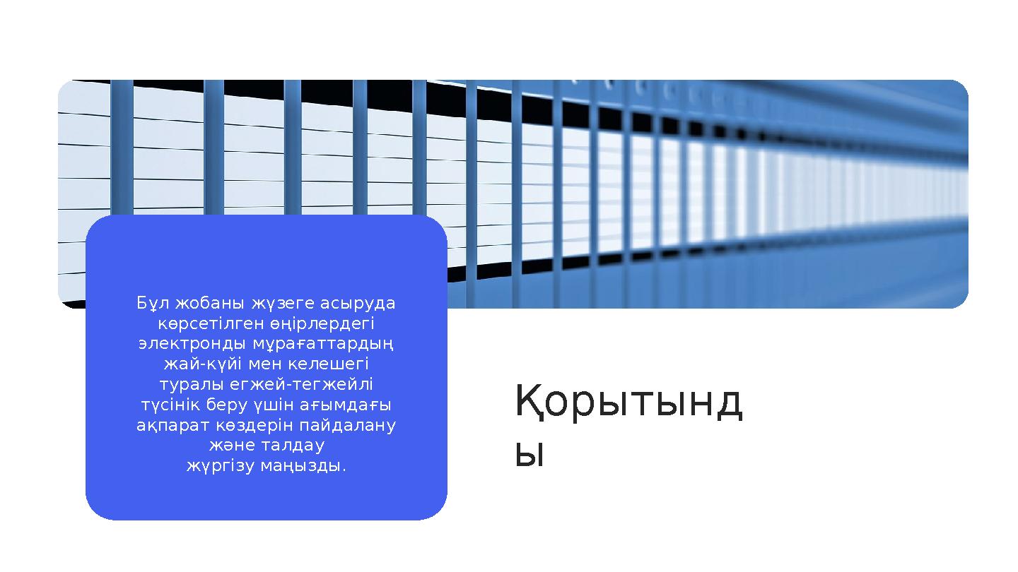 Қорытынд ыБұл жобаны жүзеге асыруда көрсетілген өңірлердегі электронды мұрағаттардың жай-күйі мен келешегі туралы егжей-тегж