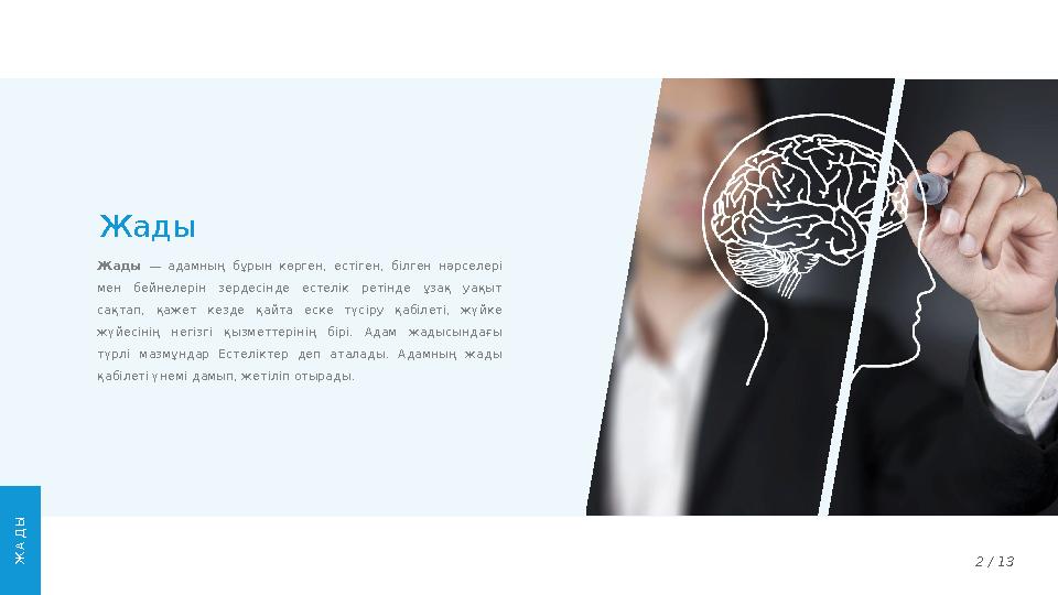 2 / 13Жады Жады — адамның бұрын көрген, естіген, білген нәрселері мен бейнелерін зердесінде естелік ретінде ұзақ