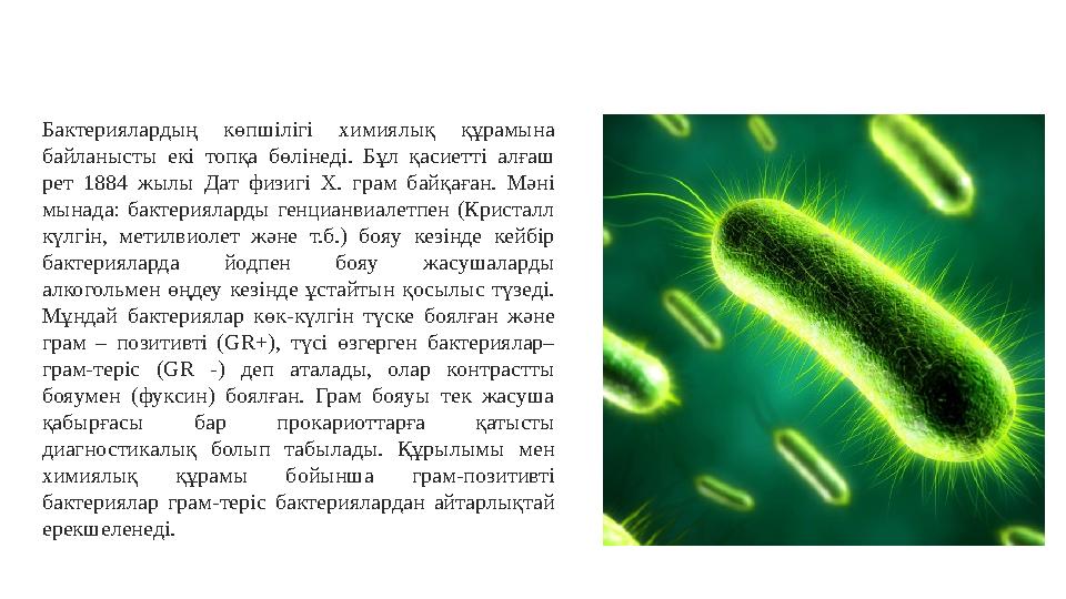 Бактериялардың көпшілігі химиялық құрамына байланысты екі топқа бөлінеді. Бұл қасиетті алғаш рет 1884 жылы Дат фи