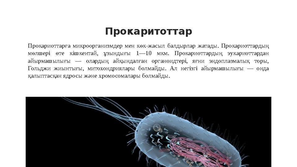 Прокаритоттар Прокариоттарға микроорганизмдер мен көк-жасыл балдырлар жатады. Прокариоттардың мөлшері өте кішкентай, ұ