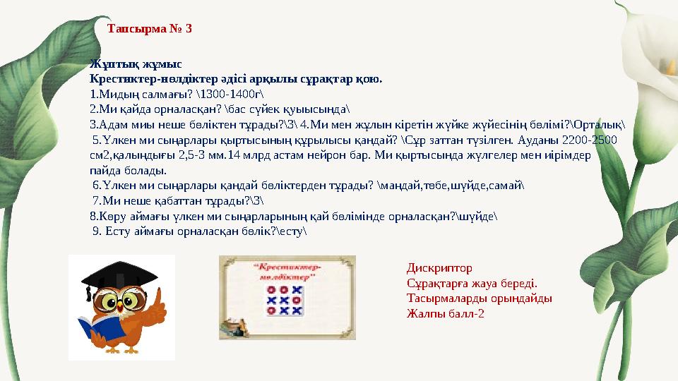 Тапсырма № 3 Жұптық жұмыс Крестиктер-нөлдіктер әдісі арқылы сұрақтар қою. 1.Мидың салмағы? \1300-1400г\ 2.Ми қайда о