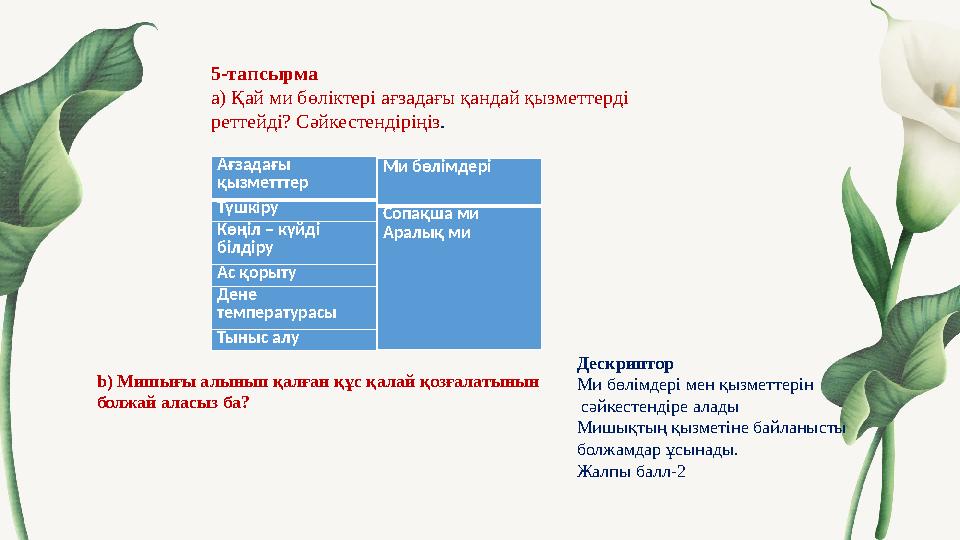 5-тапсырма а) Қай ми бөліктері ағзадағы қандай қызметтерді реттейді? Сәйкестендіріңіз . Ағзадағы қызметттер Түшкіру Көңіл –