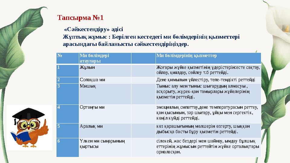 Тапсырма №1 «Сәйкестендіру» әдісі Жұптық жұмыс : Берілген кестедегі ми бөлімдерінің қызметтері арасындағы байланысты
