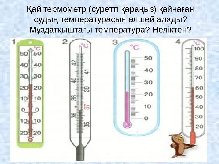 Қай термометр (суретті қараңыз) қайнаған судың температурасын өлшей алады? Мұздатқыштағы температура? Неліктен? 14