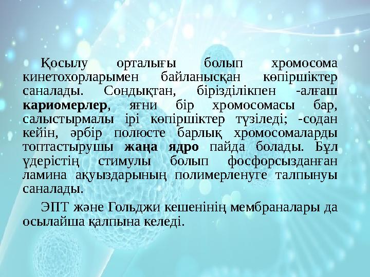 Қосылу орталығы болып хромосома кинетохорларымен байланысқан көпіршіктер саналады. Сондықтан, бірізділікпен -алғаш ка