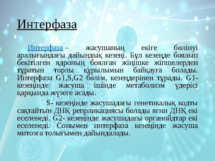 Интерфаза Интерфаза – жасушаның екіге бөлінуі аралығындағы дайындық кезеңі. Бұл кезеңде боялып бекітілген ядроның