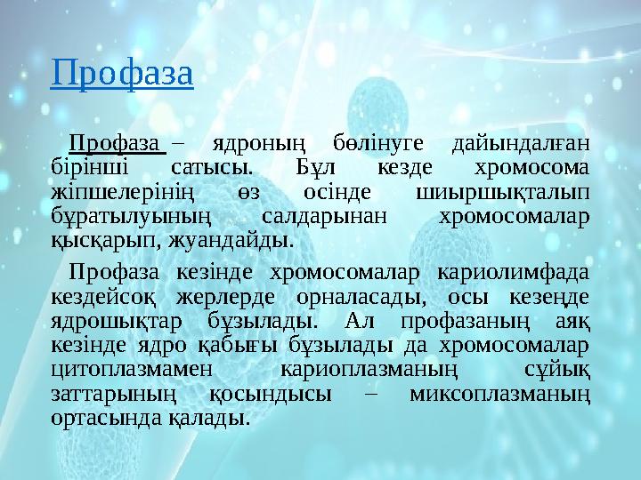 Профаза Профаза – ядроның бөлінуге дайындалған бірінші сатысы. Бұл кезде хромосома жіпшелерінің өз осінде шиыршықт
