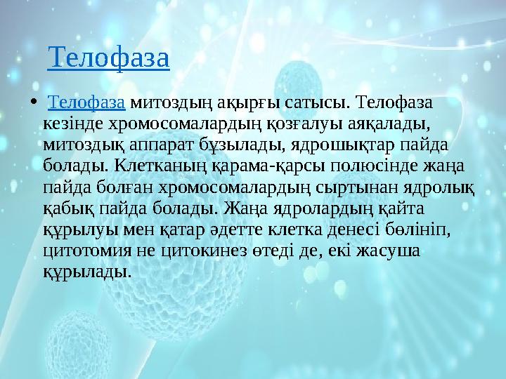 Телофаза • Телофаза митоздың ақырғы сатысы. Телофаза кезінде хромосомалардың қозғалуы аяқалады, митоздық аппарат бұзыла