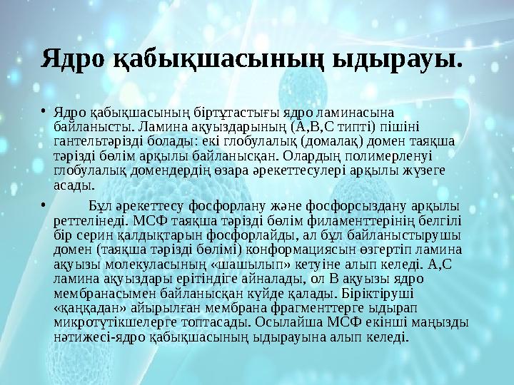 Бетті азиялық порно нд