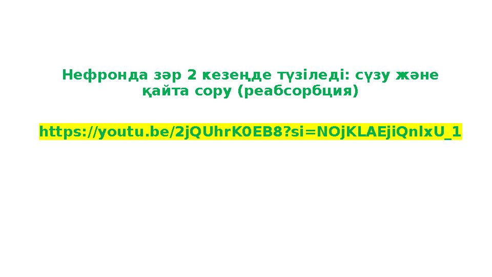 Нефронда зәр 2 кезеңде түзіледі: сүзу және қайта сору (реабсорбция) https://youtu.be/2jQUhrK0EB8?si=NOjKLAEjiQnlxU_1