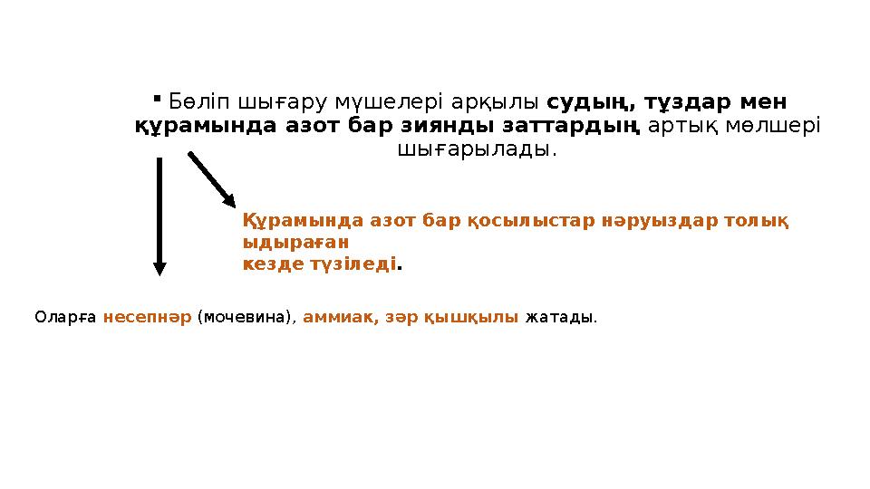  Бөліп шығару мүшелері арқылы судың, тұздар мен құрамында азот бар зиянды заттардың артық мөлшері шығарылады. Құрамында азо