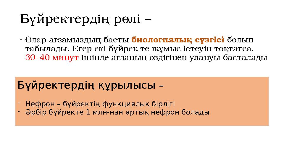 Бүйректердің рөлі – - Олар ағзамыздың басты биологиялық сүзгісі болып табылады. Егер екі бүйрек те жұмыс істеуін тоқтатса,