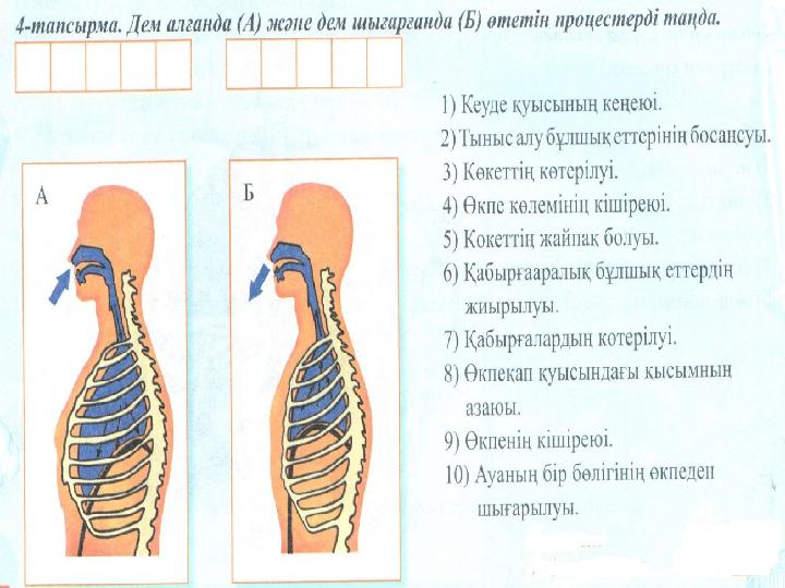 Мария Кожевниковамен жыныстық қатынас (үйде жасалған бейне)
