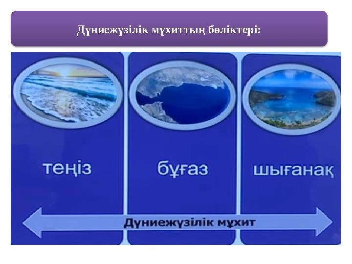 Дүниежүзілік мұхиттың бөліктері: