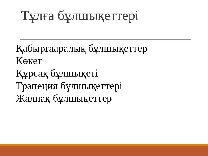 Тұлға бұлшықеттері Қабырғааралық бұлшықеттер Көкет Құрсақ бұлшықеті Трапеция бұлшықеттері Жалпақ бұлшықеттер