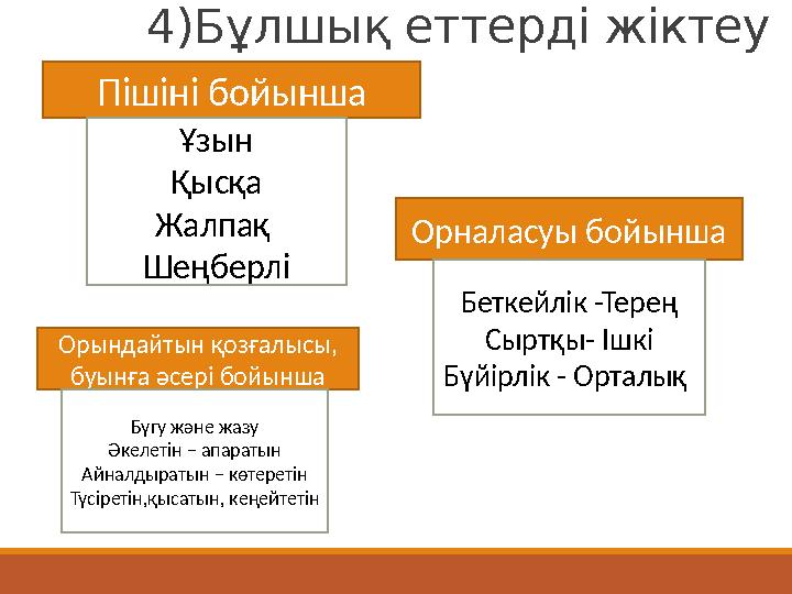 4)Бұлшық еттерді жіктеу Пішіні бойынша Ұзын Қысқа Жалпақ Шеңберлі Орналасуы бойынша Беткейлік -Терең Сыртқы- Ішкі Бүйірлік - Ор