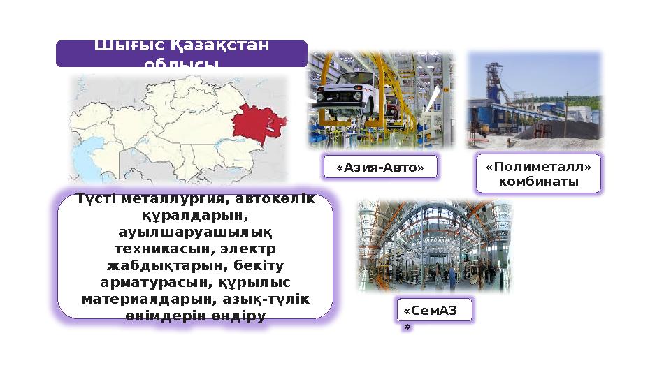 Шығыс Қазақстан облысы Түсті металлургия, автокөлік құралдарын, ауылшаруашылық техникасын, электр жабдықтарын, бекіту арма