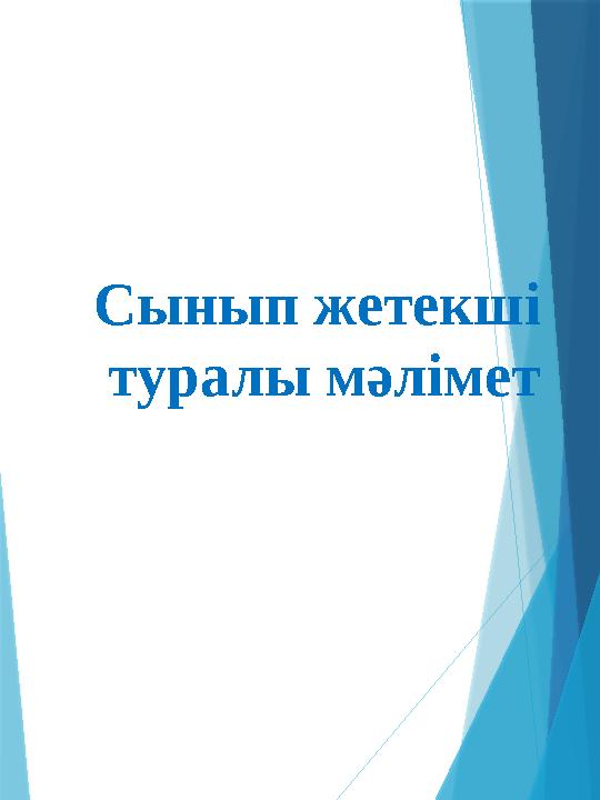 Сынып жетекші туралы мәлімет