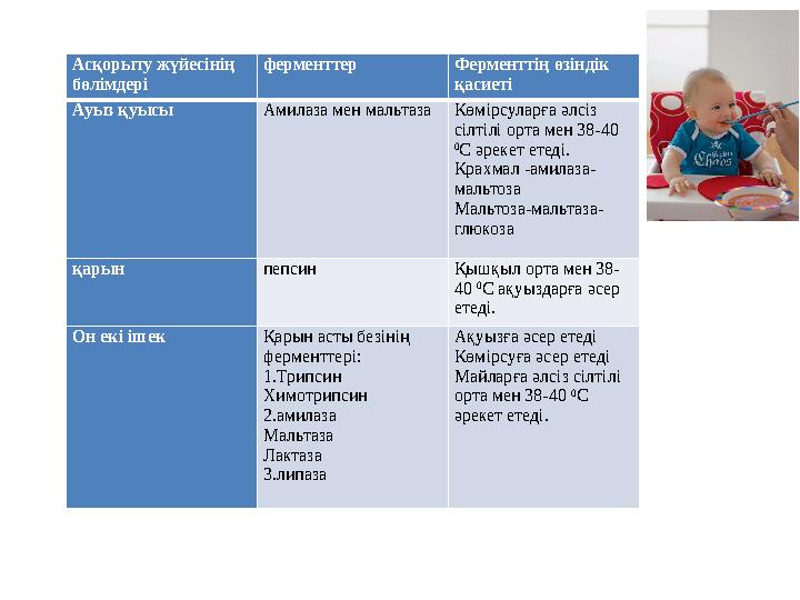 Асқорыту жүйесінің бөлімдері ферменттер Ферменттің өзіндік қасиеті Ауыз қуысы Амилаза мен мальтаза Көмірсуларға әлсіз сілтілі