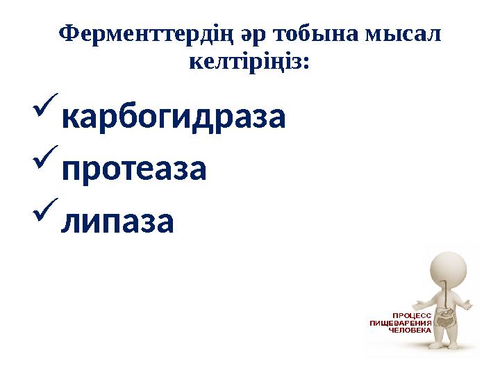 Ферменттердің әр тобына мысал келтіріңіз:  карбогидраза  протеаза  липаза
