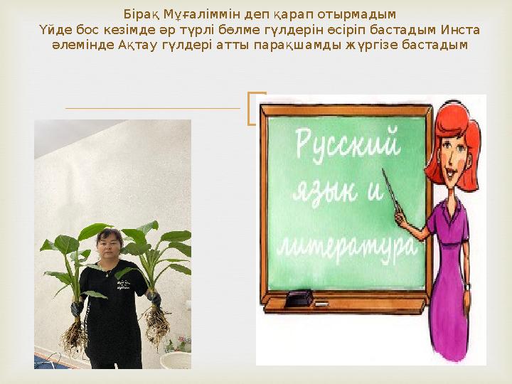 Бірақ Мұғаліммін деп қарап отырмадым Үйде бос кезімде әр түрлі бөлме гүлдерін өсіріп бастадым Инста әлемінде Ақтау гүлдері атт