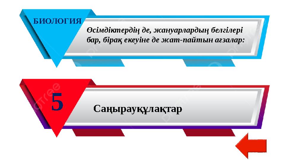 БИОЛОГИЯ 5 Өсімдіктердің де, жануарлардың белгілері бар, бірақ екеуіне де жат-пайтын ағзалар: Саңырауқұлақтар