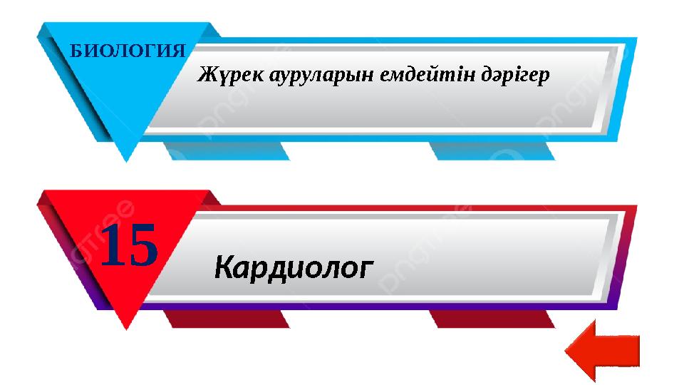 БИОЛОГИЯ 15 Жүрек ауруларын емдейтін дәрігер Кардиолог