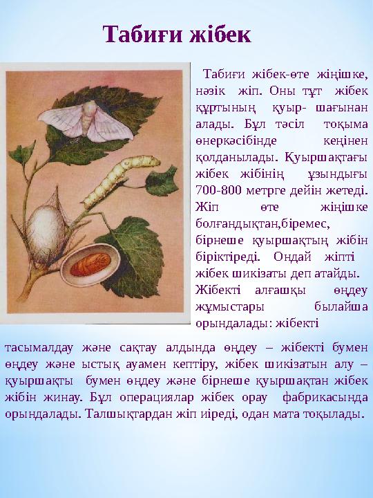 Юбкадағы орыс порно Леликтің порно фильмдері