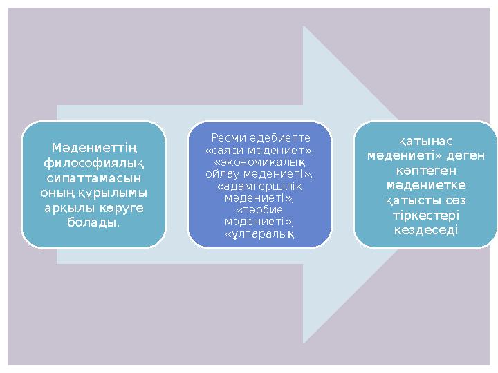 Мәдениеттің философиялық сипаттамасын оның құрылымы арқылы көруге болады. Ресми әдебиетте «саяси мәдениет», «экономикалы